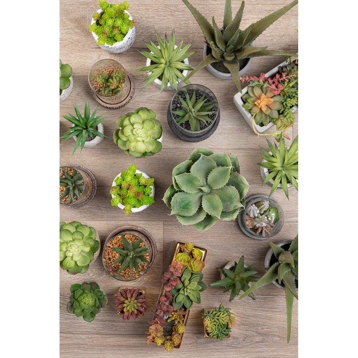Fiori Large Aloe Vera with Cement Pot - Modern Home Interiors
