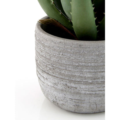 Fiori Large Aloe Vera with Cement Pot - Modern Home Interiors