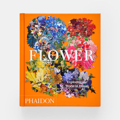 Flower: Exploring the World in Bloom