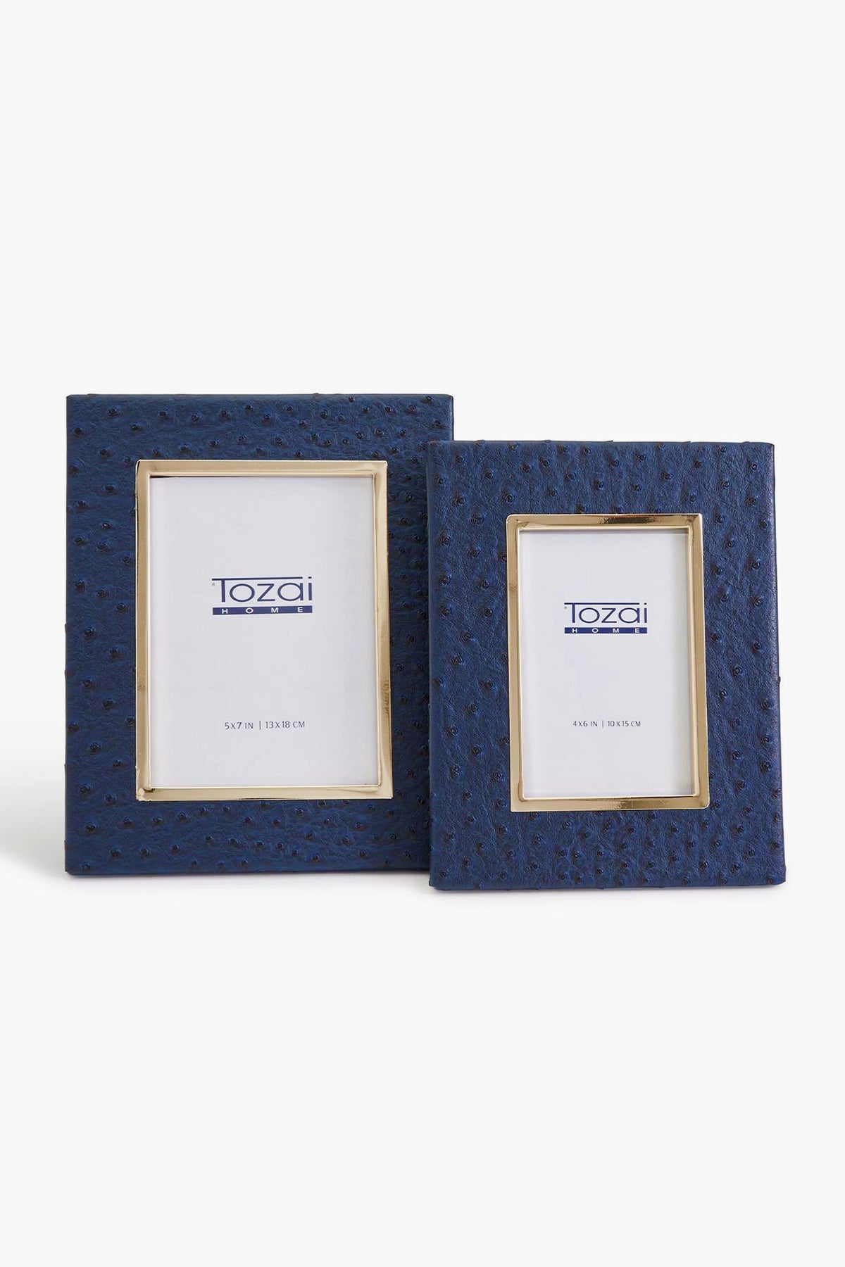 5x7 Navy Ostrich Photo Frame with Gold Edge