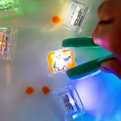Limited Edition Light-Up Cubes, 6-Pack Zoo Animals