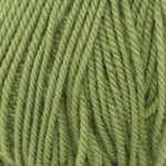 Plymouth Yarn Encore