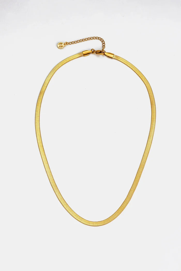 Snake Chain Necklace - Necklace