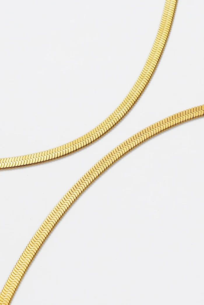 Snake Chain Necklace - Necklace